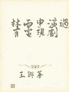 林雨申演过的所有电视剧