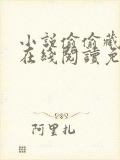 小说偷偷藏不住在线阅读免费