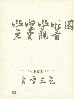 哔哩哔啦国语版免费观看