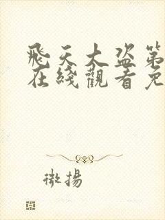 飞天大盗第一季在线观看免费观看全集