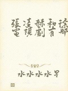 张凌赫和徐若晗电视剧有哪些