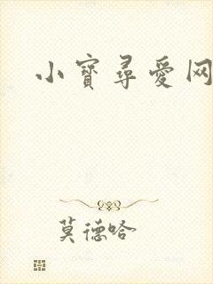小宝寻爱网