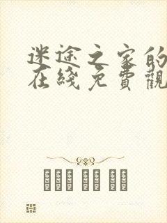 迷途之家的姐姐在线免费观看封面