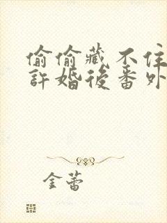 偷偷藏不住段嘉许婚后番外在哪看封面