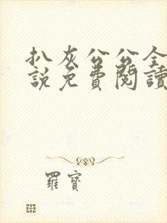 扒灰公公全部小说免费阅读全文封面