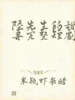 陆先生的甜蜜宠妻完整短剧