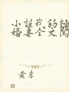 小说我的极品未婚妻全文阅读