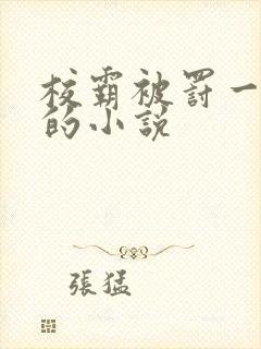 校霸被罚一整天的小说