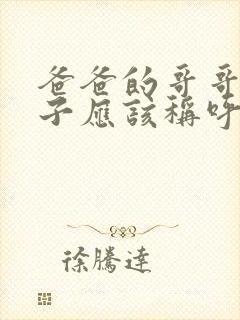 爸爸的哥哥的孙子应该称呼什么