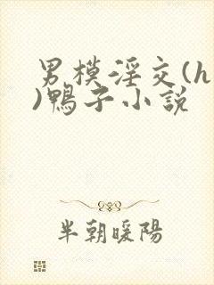 男模淫交(h高)鸭子小说封面