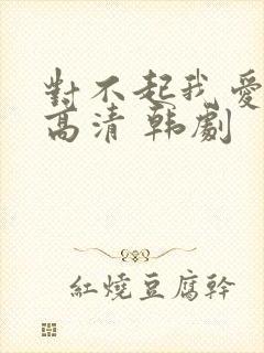 对不起我爱你 高清 韩剧