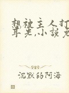 想被主人打,扇耳光,小说免费阅读