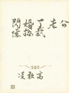 闪婚了老公是千亿总裁封面