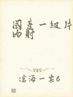 国产一级片无套内射