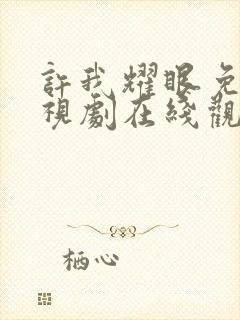 许我耀眼免费电视剧在线观看封面