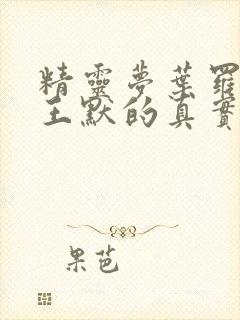 精灵梦叶罗丽中王默的真实身份封面