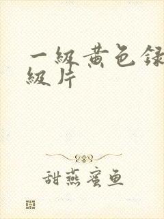 一级黄色录像一级片