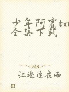 少年阿宾txt全集下载