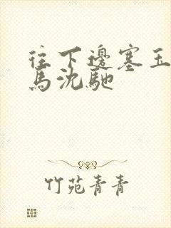 往下边塞玉器骑马沈驰