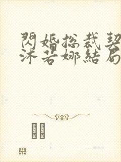 闪婚总裁契约妻沐若娜结局