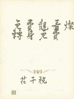 免费观看灿烂的转身免费