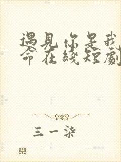 遇见你是我的宿命在线短剧封面