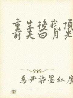 重生后我顶替了前夫白月光免费