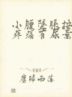 小腹坠胀按压有疼痛有尿意