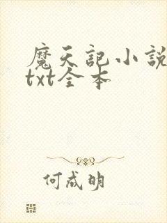魔天记小说下载txt全本