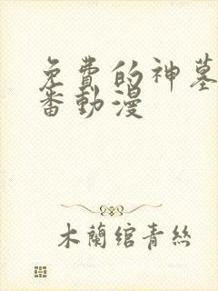 免费的神墓 年番动漫