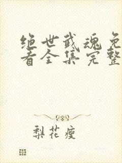 绝世武魂免费观看全集完整版动漫