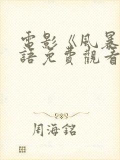 电影《风暴》国语免费观看