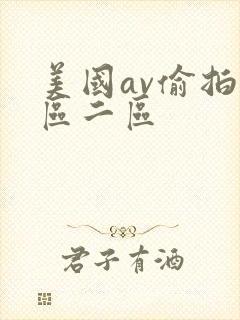 美国av偷拍一区二区