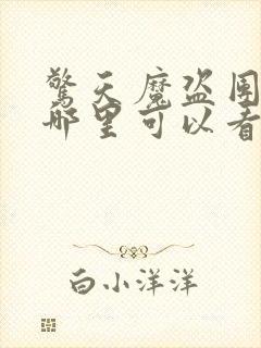 惊天魔盗团2在哪里可以看