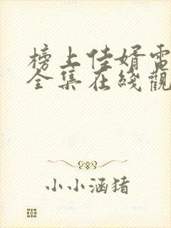 榜上佳婿电视剧全集在线观看免费