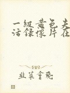 一级黄色夫妻生活录像片在线观看封面