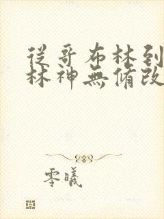 从哥布林到哥布林神无修改封面