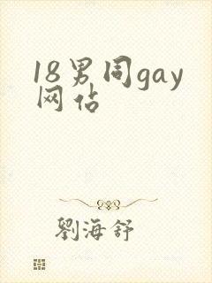 18男同gay网站
