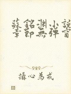 苏铭渊小说最新章节无弹窗