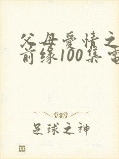 父母爱情之再续前缘100集电视剧封面