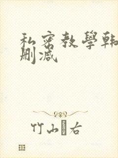 私密教学韩漫无删减