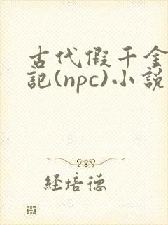 古代假千金挨日记(npc)小说