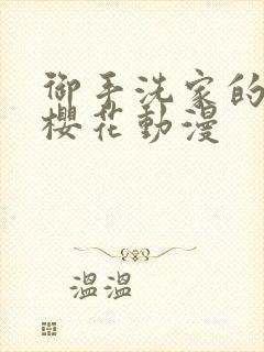 御手洗家的银事樱花动漫