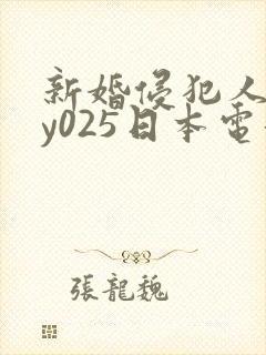 新婚侵犯人妻dy025日本电影