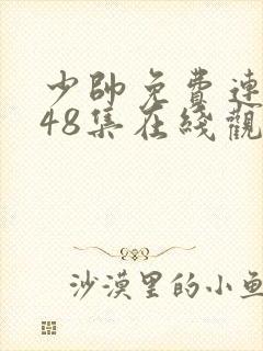 少帅免费连续剧48集在线观看高清版