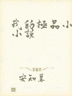 我的极品小姨 小说封面