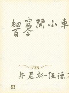 细写开小车车的百合