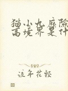 猫小九历险记最高境界是什么