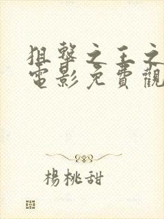 狙击之王之暗杀电影免费观看国语