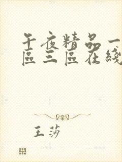 午夜精品一区二区三区在线观看